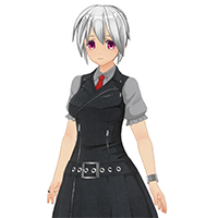 追團女孩騎士服飾組