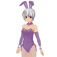 優雅兔女郎服飾組