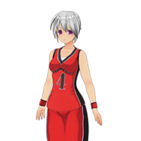 籃球服飾組