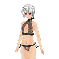 透明內衣服飾組