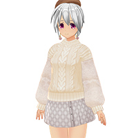 毛袖服飾組