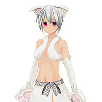 狂野貓咪服飾組