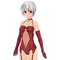 網狀拘束服服飾組
