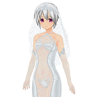 透明結婚禮服服飾組