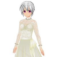 上半身蕾絲結婚禮服服飾組