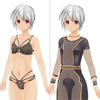 3D定製女僕2 AV包 Vol.02 服飾組
