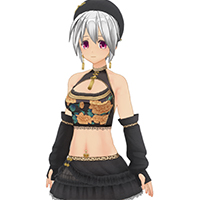 華麗淑女服飾組