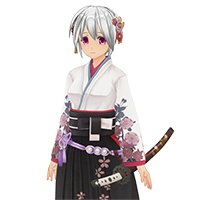 和花劍公主服飾組