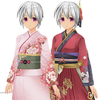 華麗和服服飾組